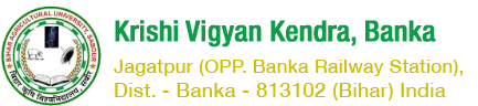 KVK Banka logo