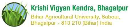 KVK Bhagalpur logo